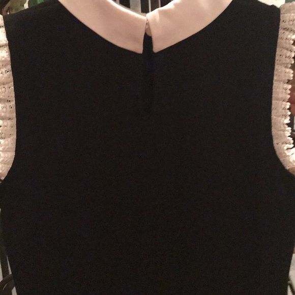 Gorgeous Dressy Peter Pan Collar Dress Shirt. - Picture 4 of 8